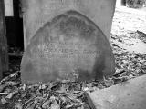 image of grave number 111015